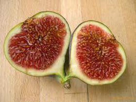 Picture of Fragrance "Fig"