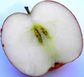 Picture of Fragrance "Apple"