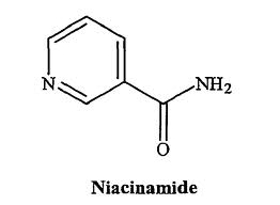 Picture of Vitamina PP - nicotinamida