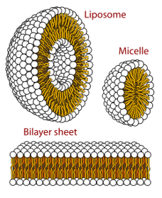 Picture of Vitamin A + E liposomes