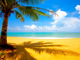 Immagine di Fragranza Summertime