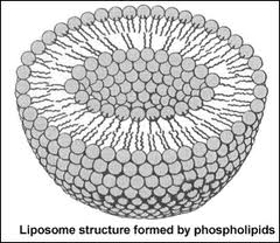 Picture of Hyaluronic acid liposomes