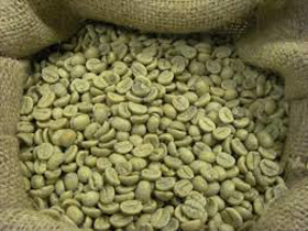 Picture of Glycolic extract "Green Coffee"