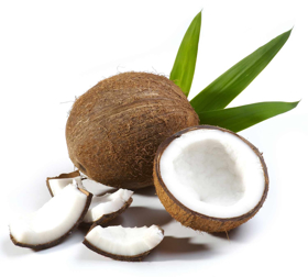 Picture of Aroma Cocco