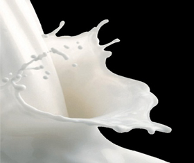 Immagine di Proteine del latte