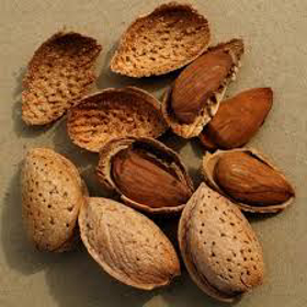 Picture of Fragancia " Almendra Dulce "