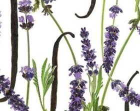 Picture of Fragrance "Lavender & Vanilla"