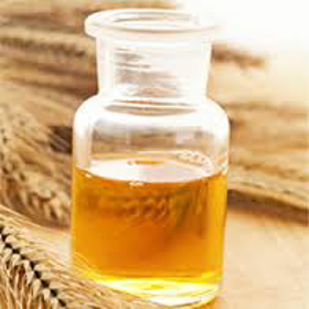 Picture of Wheat Germ Oil