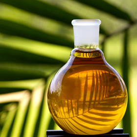 Picture of Palm oil