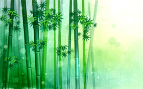 Immagine di Fragranza Bamboo savon