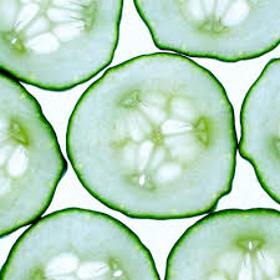 Picture of Extracto glicolico de "pepino"