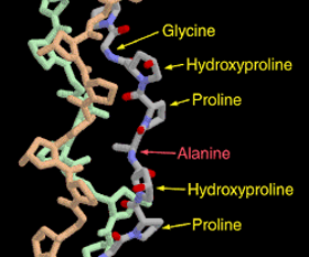 Picture of Hydrolyzed collagen