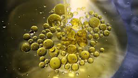 Picture of GC - Hydro Oil