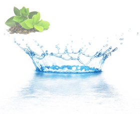 Immagine di Acqua distillata tè verde