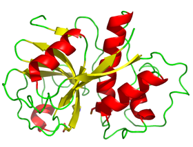 Picture of Papain liposomes