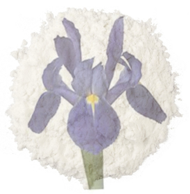 Picture of Fragrancia "Iris & talco"