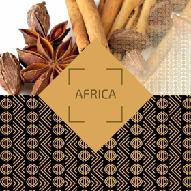 Immagine di Ambience Parfum Classic Africa