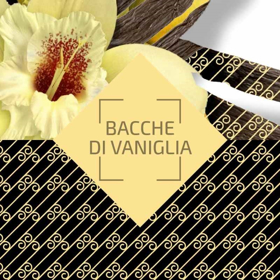 Immagine di Ambience Parfum Classic Bacche di vaniglia