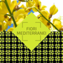 Picture of Ambience Parfum Classic Fiori mediterranei