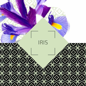 Picture of Ambience Parfum Classic Iris