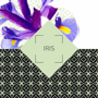 Picture of Ambience Parfum Classic "Iris"