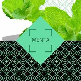 Immagine di Ambience Parfum Classic Menta