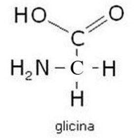 Immagine di Glicina