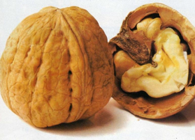 Picture of Walnut oil