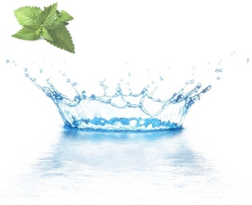 Immagine di Acqua distillata menta piperita