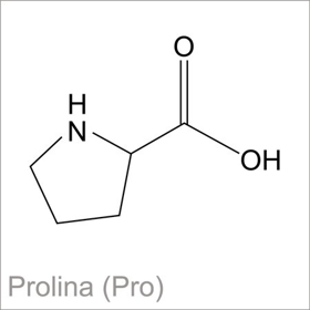 Picture of Prolina