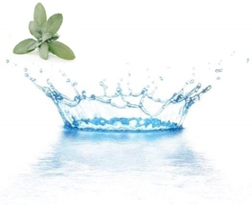 Immagine di Acqua distillata salvia