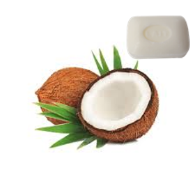 Picture of Fragranza Tropical cocco savon