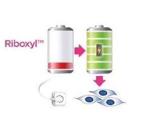 Picture of Riboxyl™