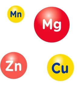 Picture of Oligoydine 1 complex