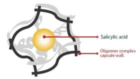 Picture of Sallic-210