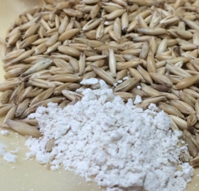 Picture of Oat silk