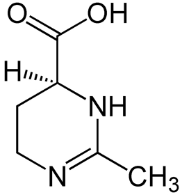 Picture of Ectoina