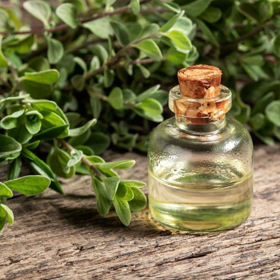 Picture of Olio essenziale Maggiorana
