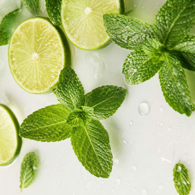 Picture of Aroma Mojito